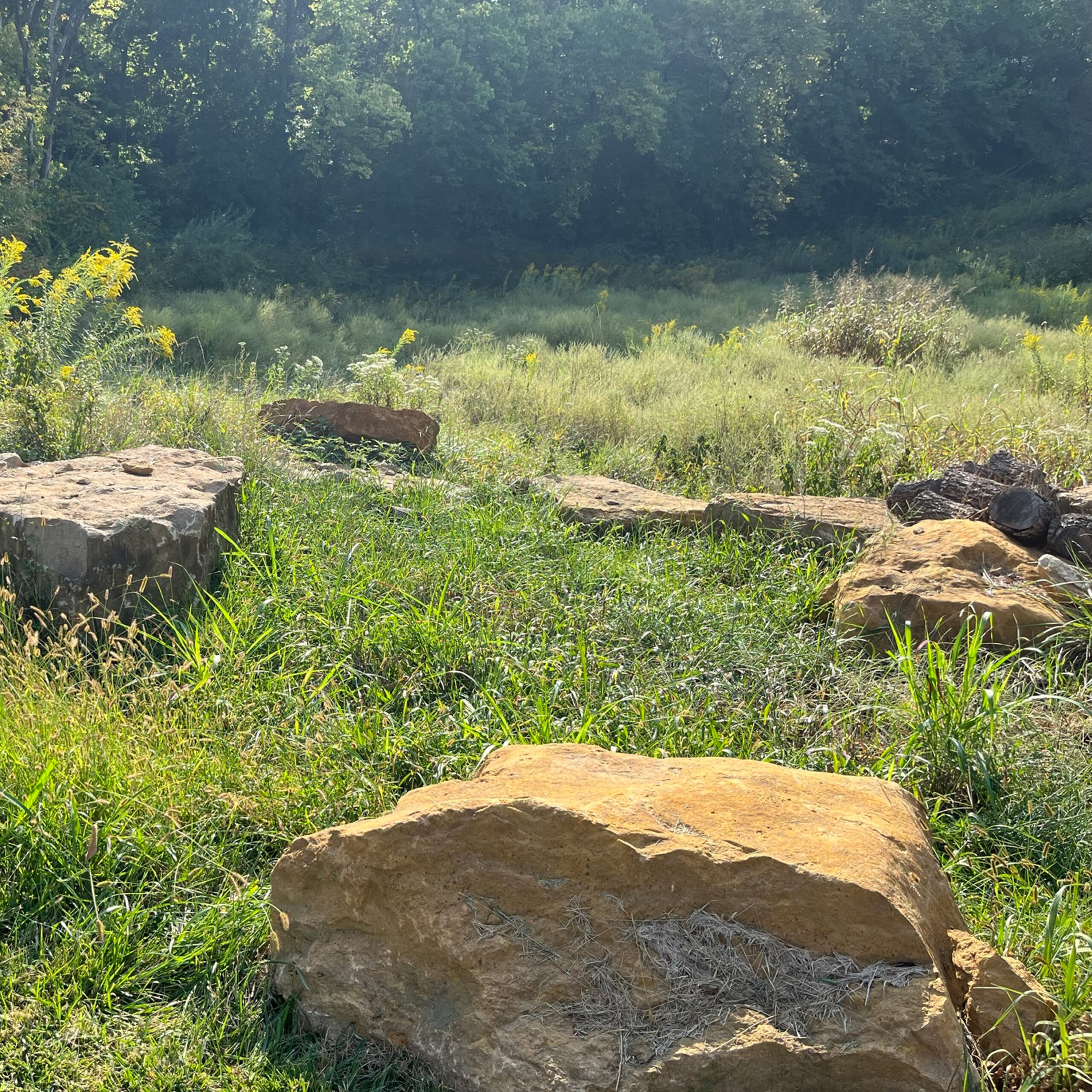 Native Garden, Kansas City