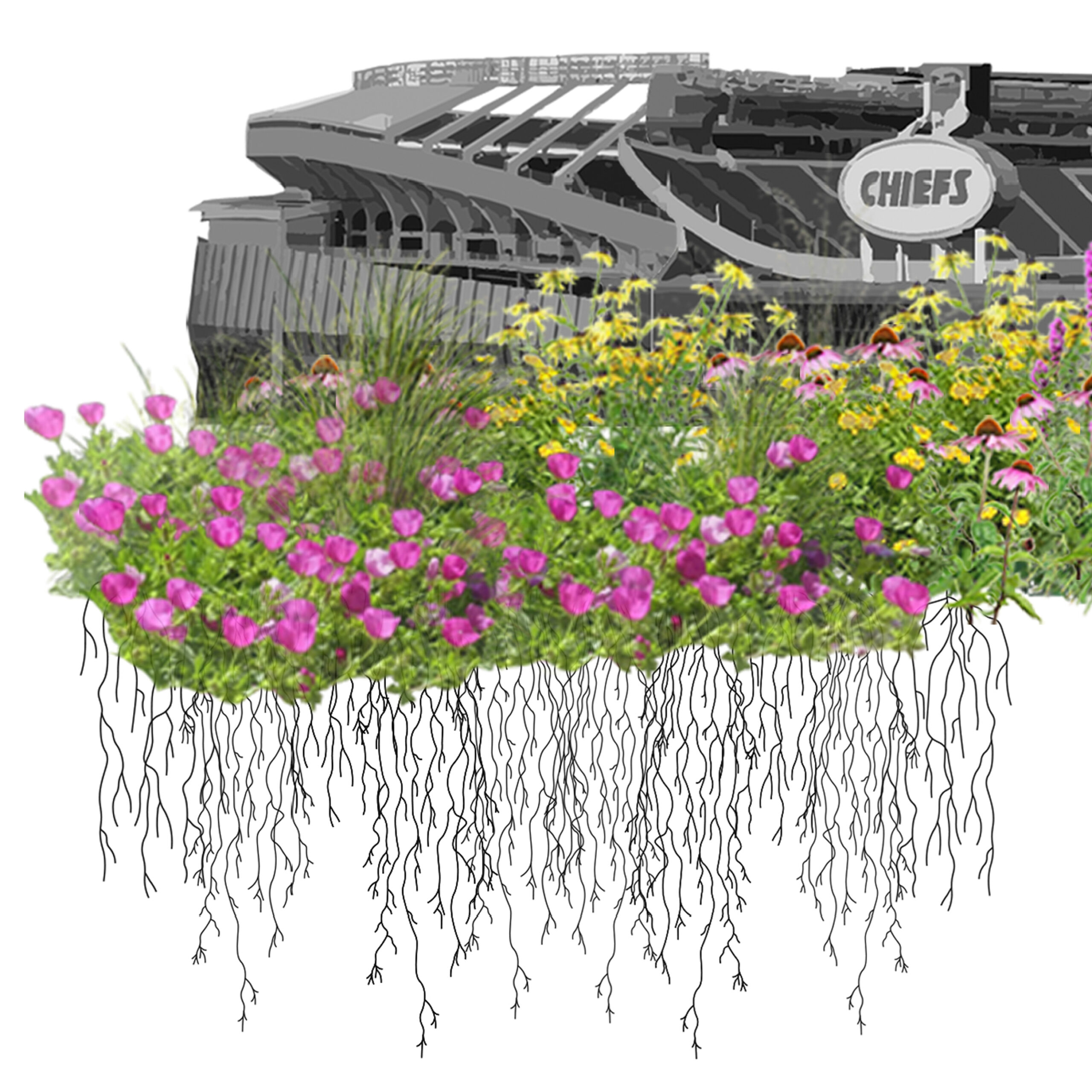Truman Sports Complex Planting Design – Kansas City