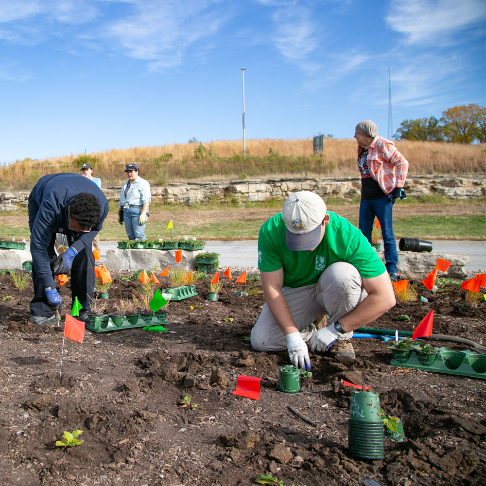 Truman Sports Complex Planting Design, Kansas City