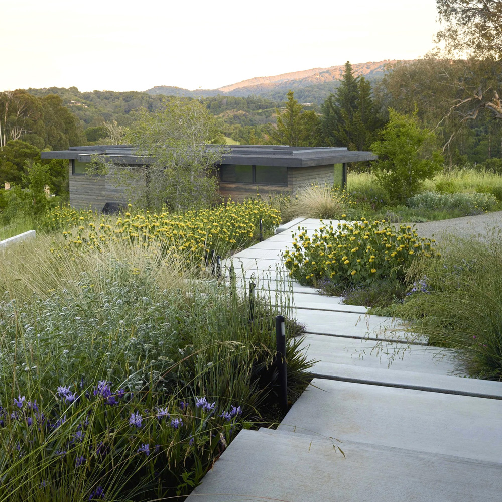 Hillside Haven | Portolla Valley, California