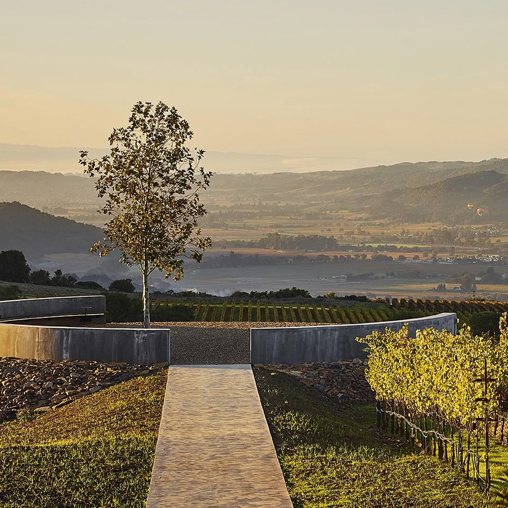 Nine Suns Winery | St. Helena, California