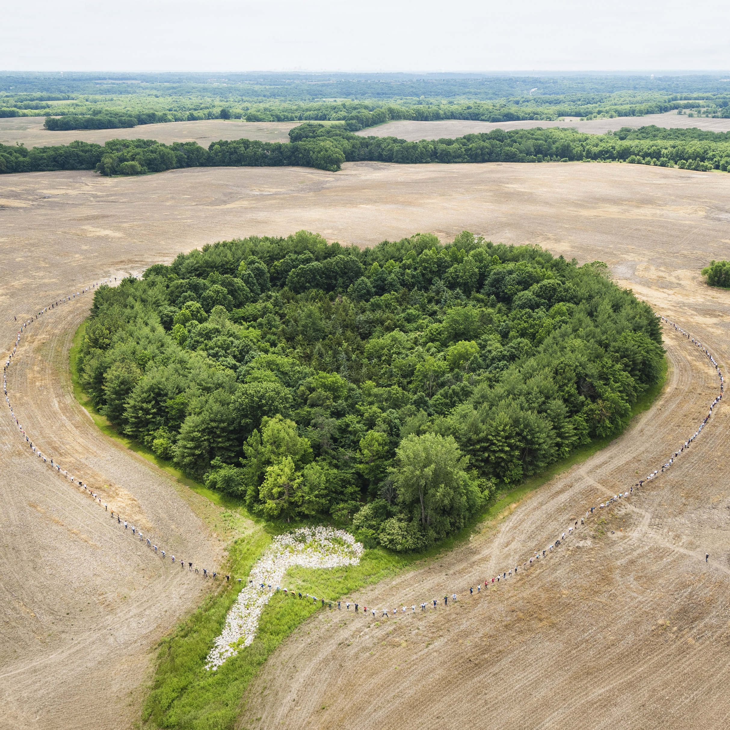 The Heart Forest, Kansas City
